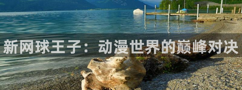世界杯预选赛欧洲赛区积分榜：新网球王子：动漫世界的巅峰对决