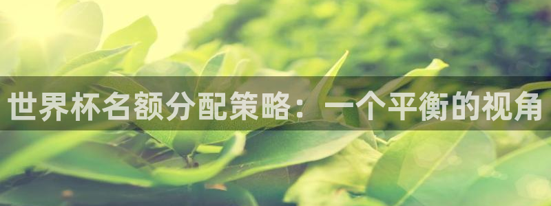世界杯亚洲区预选赛积分榜：世界杯名额分配策略：一个平衡的视角
