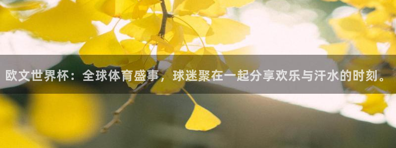 世界杯赛程表：欧文世界杯：全球体育盛事，球迷聚在一起分享欢乐与汗水的时刻。