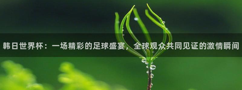 世界杯比赛直播：韩日世界杯：一场精彩的足球盛宴，全球观众共同见证的激情瞬间