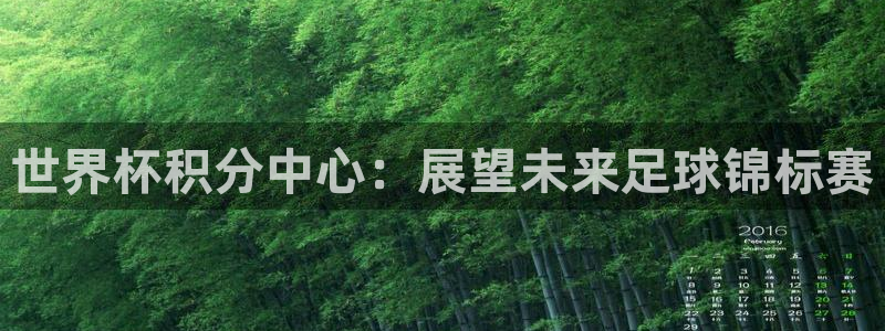 世界杯决赛直播：世界杯积分中心：展望未来足球锦标赛