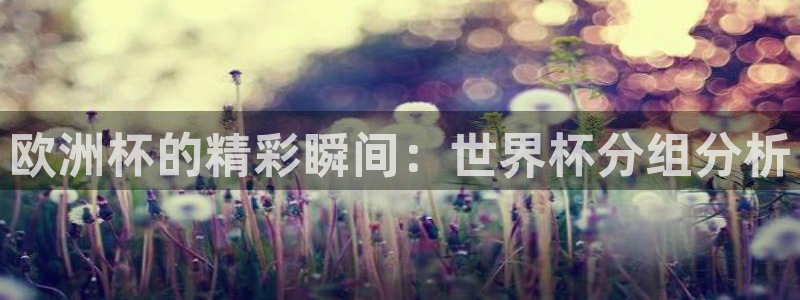 2026年世界杯直播平台：欧洲杯的精彩瞬间：世界杯分组分析