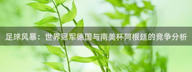 2026足球世界杯赛程：足球风暴：世界冠军德国与南美杯阿根廷的竞争分析