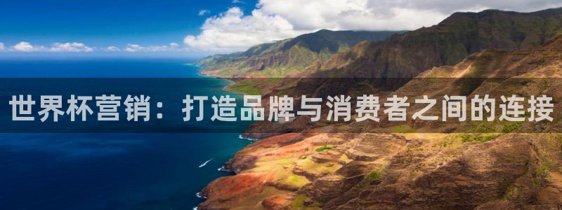 世界杯决赛直播：世界杯营销：打造品牌与消费者之间的连接