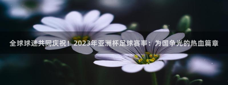 世界杯2026赛制：全球球迷共同庆祝！2023年亚洲杯足球赛事：为国争光的热血篇章