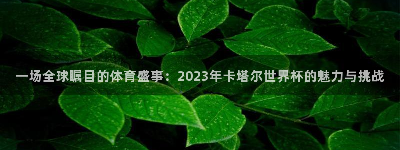 世界杯今日赛程直播：一场全球瞩目的体育盛事：2023年卡塔尔世界杯的魅力与挑战