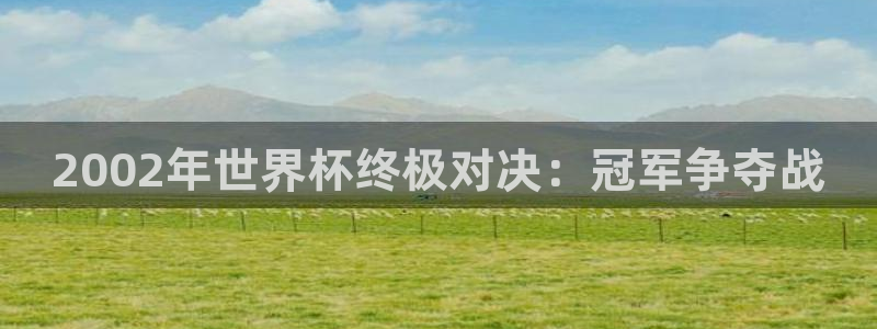 2026世界杯足球赛程时间表：2002年世界杯终极对决：冠军争夺战