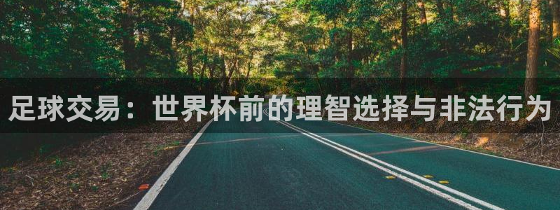 葡萄牙世界杯赛程：足球交易：世界杯前的理智选择与非法行为