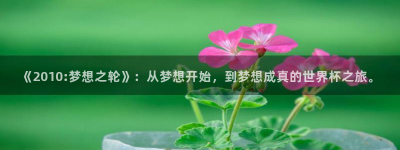 足球世界杯：《2010:梦想之轮》：从梦想开始，到梦想成真的世界杯之旅。