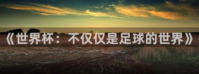 世界杯今日赛程直播：《世界杯：不仅仅是足球的世界》