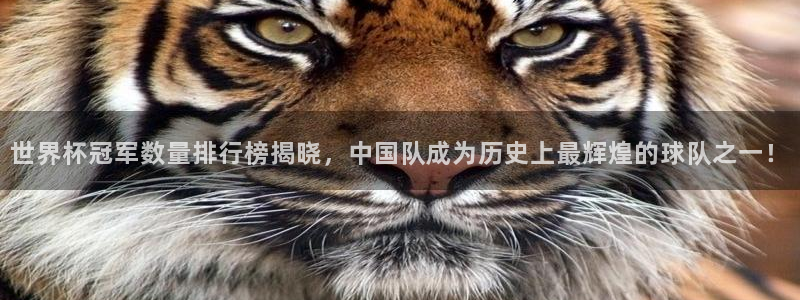 女足世界杯赛程：世界杯冠军数量排行榜揭晓，中国队成为历史上最辉煌的球队之一！