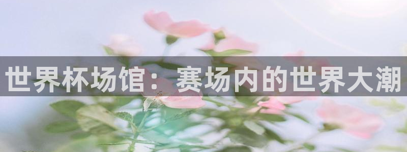 世界杯预选赛赛程时间表：世界杯场馆：赛场内的世界大潮