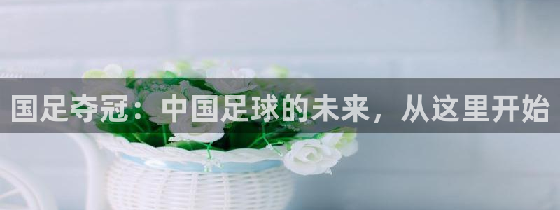 世界杯预选赛亚洲区赛程：国足夺冠：中国足球的未来，从这里开始