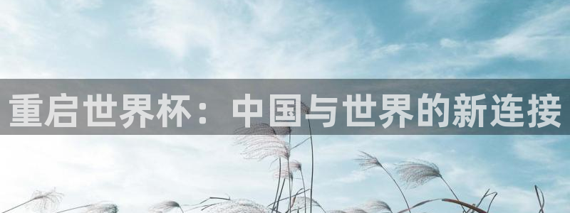世界杯预选赛2026：重启世界杯：中国与世界的新连接